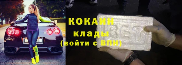 сатива Струнино